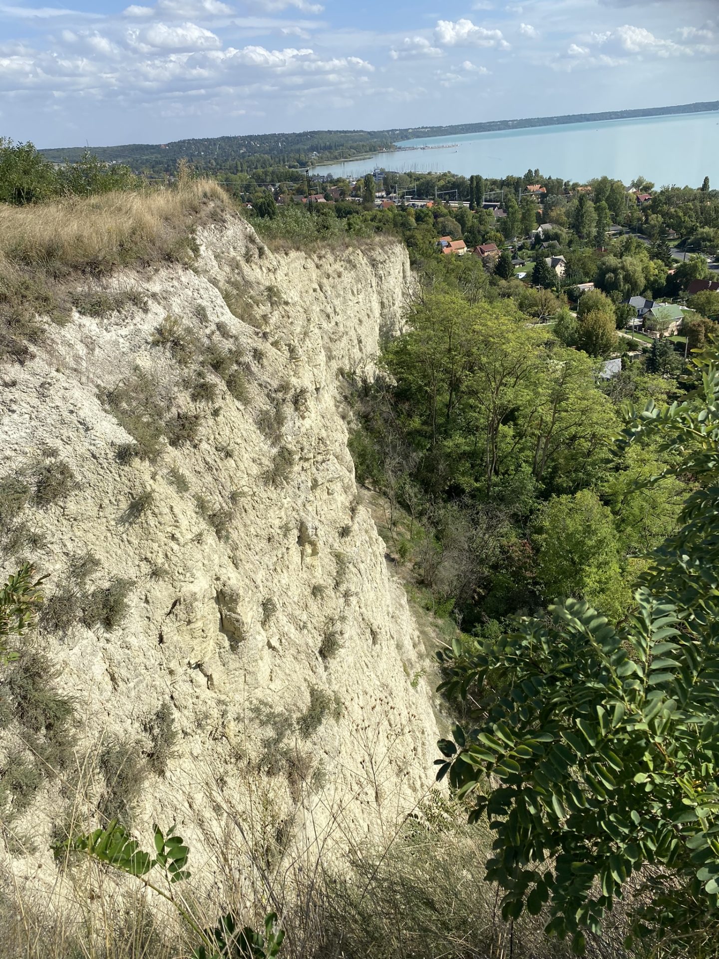 Új kötet jelent meg Boldog Bódi Mária Magdolnáról