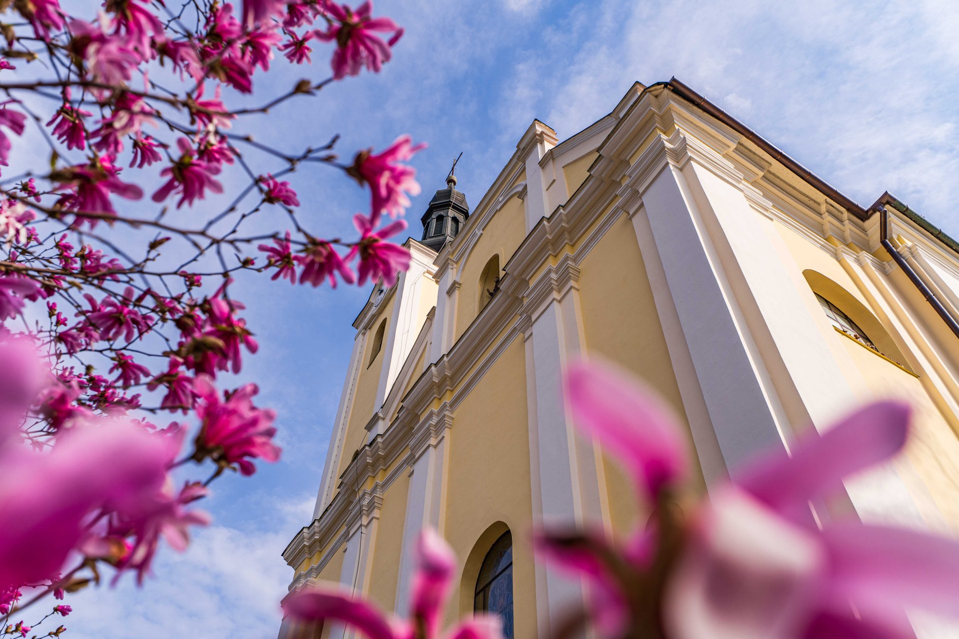 Orgonamegáldás Búcsúszentlászlón