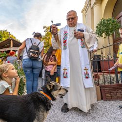 „Áldott légy, Uram, minden teremtményeddel!” – állatszentelés a keszthelyi Ranolder Iskolában