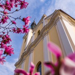 Orgonamegáldás Búcsúszentlászlón